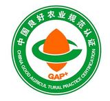 中国GAP认证